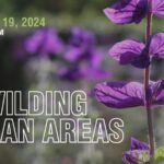 Rewilding Urban Areas Luncheon