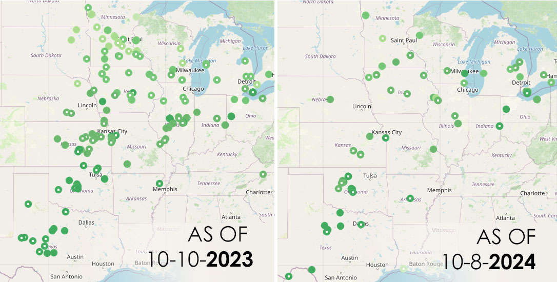 Is 2024 a Down Year for Monarchs?