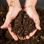 The Dirt on Soil