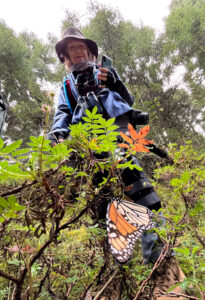 Vonceil Harmon with the Oklahoma Department of Transportation looks onward at a monarch butterfly.