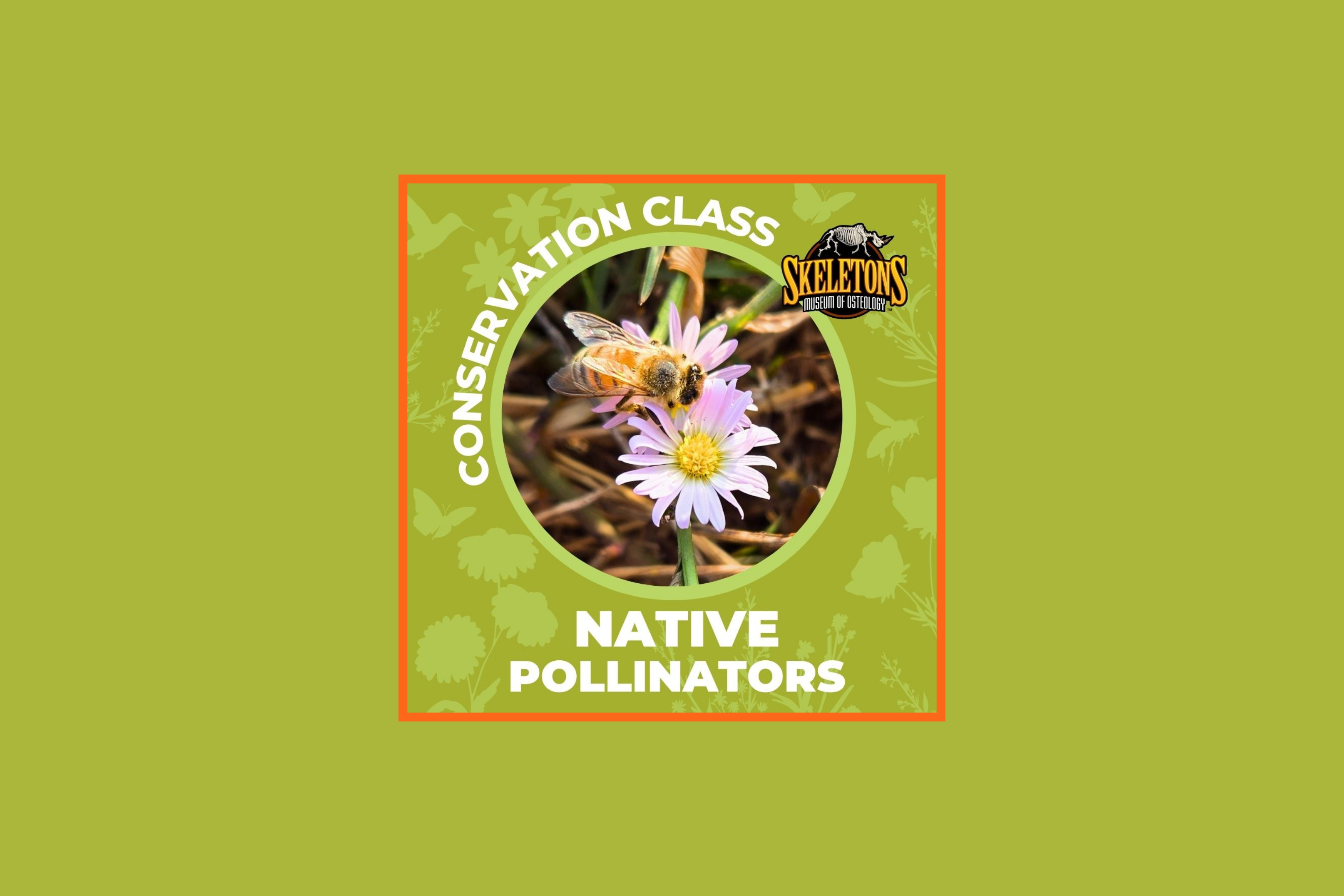 Homeschool Day: Native Pollinators