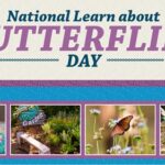 National Learn About Butterflies Day