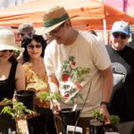 Southeast OK event promises monarch, milkweed infusion