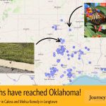 Monarch Migration from Mexico Arrives in Oklahoma