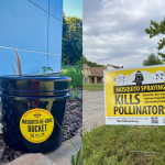 Oklahoma Residents Urged to Stop Using Mosquito Sprays That Harm Bees and Butterflies