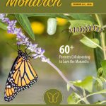 60+ Partners Launch a New Cross-Sector Plan for Monarch Conservation in Oklahoma